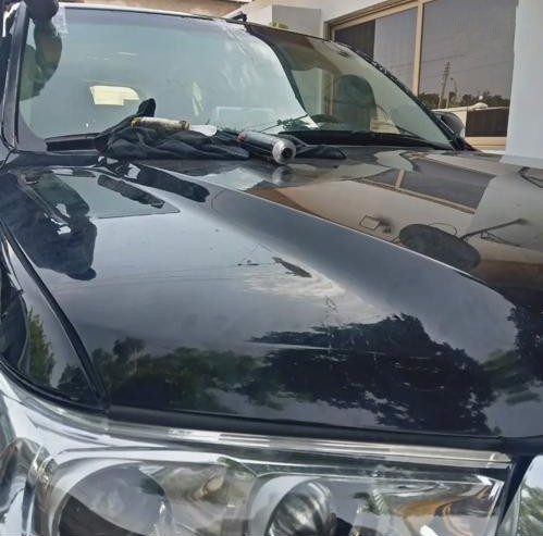 Office glass tinting